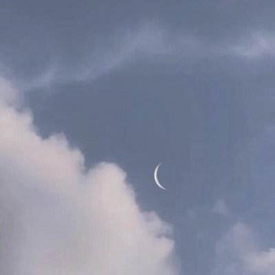 口袋神仙手游360版下载
