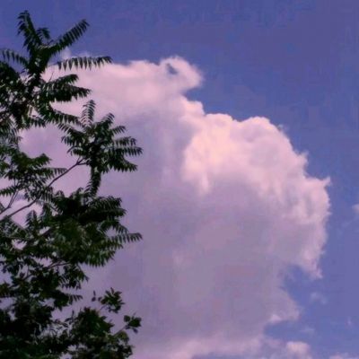 幻剑玲珑九游红包版下载